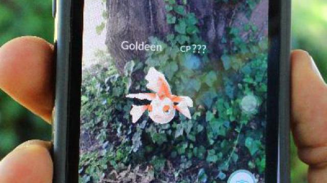 Pokemon Go Known Issues